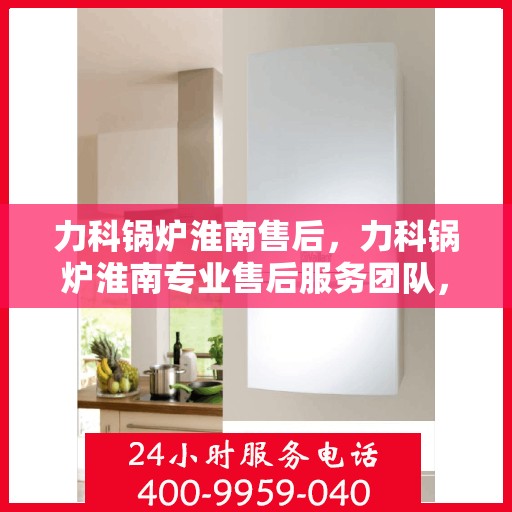 力科锅炉淮南售后，力科锅炉淮南专业售后服务团队，为您提供全方位解决方案