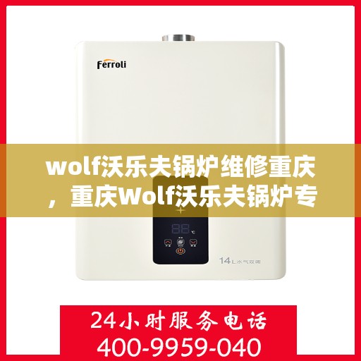 wolf沃乐夫锅炉维修重庆，重庆Wolf沃乐夫锅炉专业维修服务