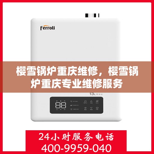 樱雪锅炉重庆维修，樱雪锅炉重庆专业维修服务