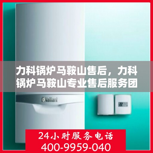 力科锅炉马鞍山售后，力科锅炉马鞍山专业售后服务团队，为您提供全方位解决方案