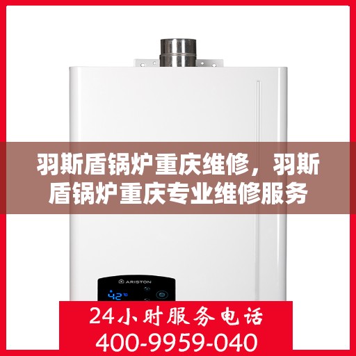 羽斯盾锅炉重庆维修，羽斯盾锅炉重庆专业维修服务