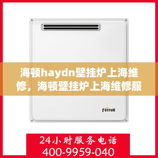 海顿haydn壁挂炉上海维修，海顿壁挂炉上海维修服务解析