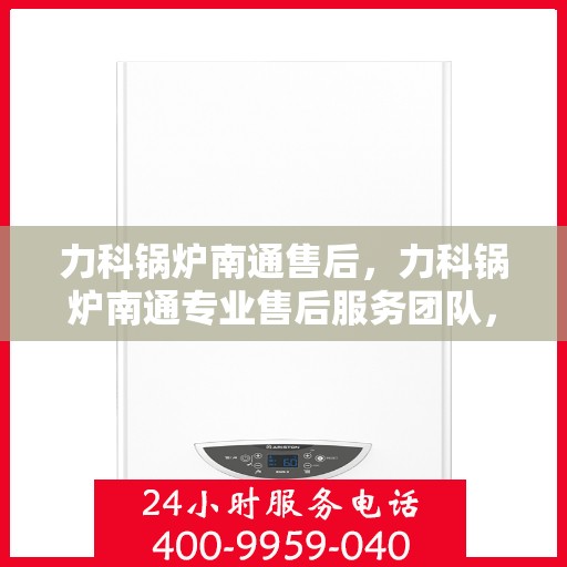力科锅炉南通售后，力科锅炉南通专业售后服务团队，为您提供全方位解决方案