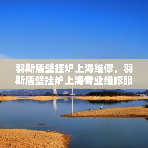 羽斯盾壁挂炉上海维修，羽斯盾壁挂炉上海专业维修服务