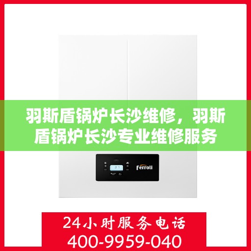 羽斯盾锅炉长沙维修，羽斯盾锅炉长沙专业维修服务